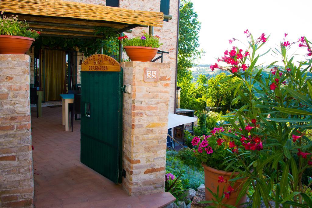 B&B Borgo Marano Cupra Marittima Εξωτερικό φωτογραφία