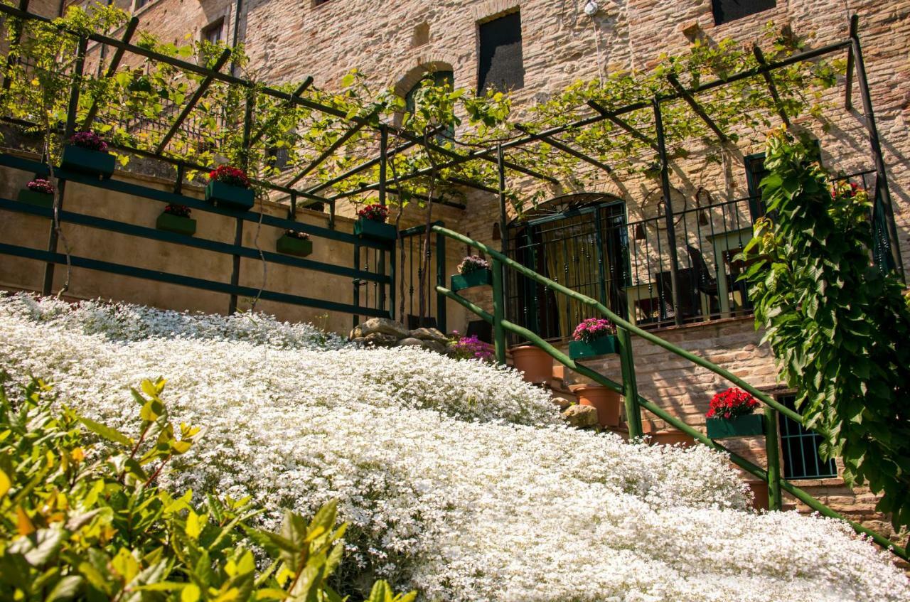 B&B Borgo Marano Cupra Marittima Εξωτερικό φωτογραφία