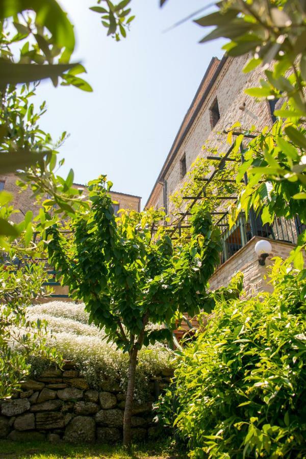 B&B Borgo Marano Cupra Marittima Εξωτερικό φωτογραφία